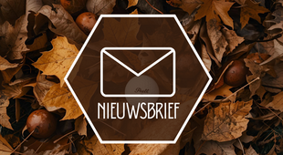 NIEUWSBRIEF